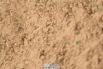 230610A-133820-03531
