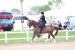 SBM_03206