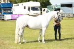 SBM_01634