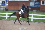 Cls 17 Blue Chip Novice Winter Qualifier portfolio