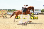 SBM_006228