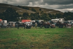 DSCF7288