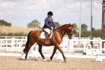 SBM_03635