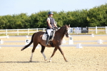 SBM_008377