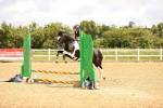 SBM_000374