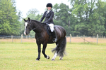 Class 3 Family Mount (Rain Focus Problems) portfolio