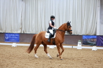 SBM_003697