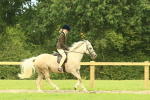 SBM_71908