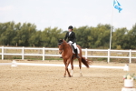 SBM_000970