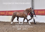 BPP_0757