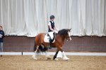 SBM_000504