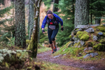 Glentress-2310