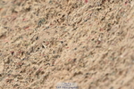 231013A-102938-01318