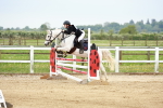 SBM_009245