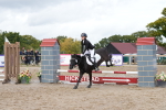 Supreme Championship Pony 50-55cm portfolio
