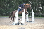 1 British Novice 90cm Open portfolio