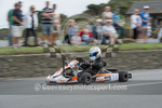 Vale Castle_2015_KART-13