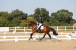 SBM_006445