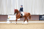SBM_000428