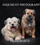 equiscot1872