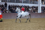 SBM_003681