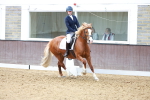 SBM_000495