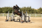 SBM_03296