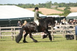 SBM_09539