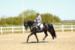 SBM_000191