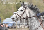 BPP_1168