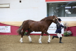 SBM_23662