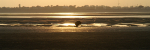West Wittering - Panoramas portfolio