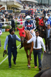 250823-Race 3-Lake Forest-0411