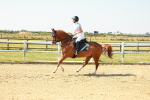 SBM_000032_Class 2 - Senior Novice - 90cm