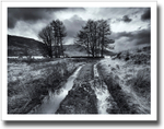 Mirror, Mirror ♦ LOCH ARKLET