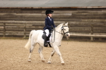 Dressage - 22-3-25 portfolio