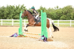 SBM_000163