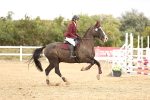 SBM_008160