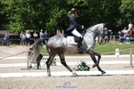 159-HATHAWAY_ROYALE-Izzy_Taylor-WEDTrotUp+DR portfolio