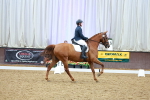SBM_004978
