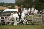 SBM_09166
