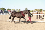 SBM_00174
