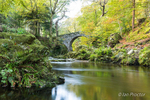 Foley's Bridge in Early Autumn