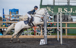 Junior Showjumping_10-11-2019-22