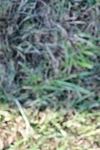 SBM_19840