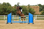 SBM_003568