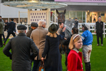 151125-Race 7-Divine Diva-4842
