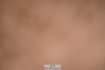 240505A-135034-06164