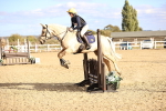 SBM_003622