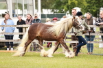 SBM_06029